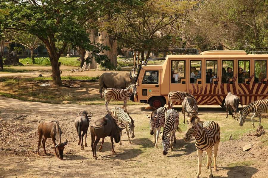 Bali: Safari Zoo and Ubud Palace and Market Day Tour - Taman Safari Bali: 3 Hours of Animals From a Safari Bus