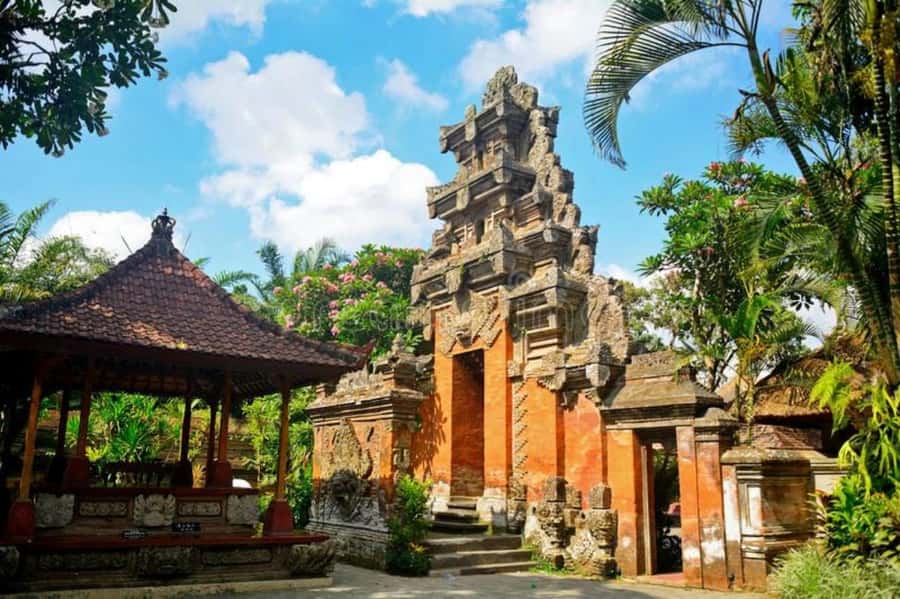 Bali: Safari Zoo and Ubud Palace and Market Day Tour - The English-Speaking Driver: Turning Stops Into Stories