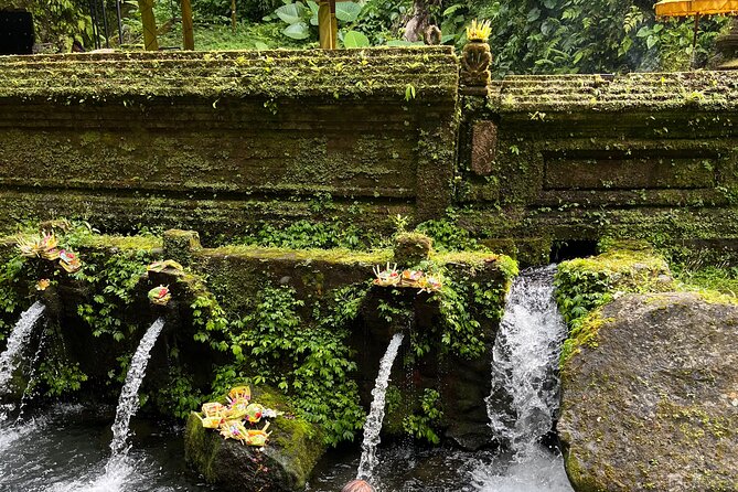Bali Samanic Healing Purification Natural - Who should book this melukat and healing day