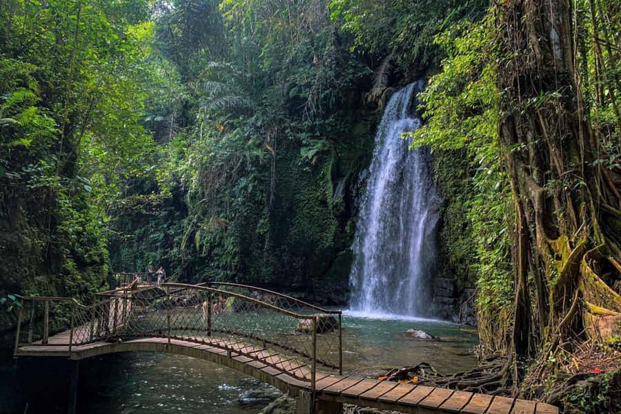 BALI :Sanctuary Monkey forest, rice terrace Water temple - Key Highlights You’ll Actually Feel