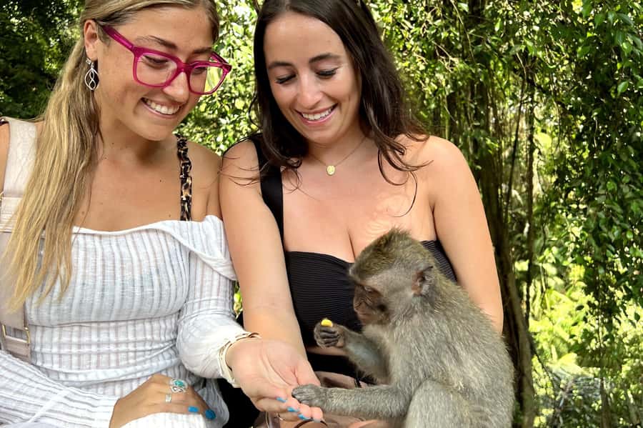 BALI :Sanctuary Monkey forest, rice terrace Water temple - Ubud in One Day: How the Route Works