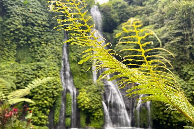 Bali Secret Waterfalls: Banyumala & Leke Leke Waterfalls - Leke Leke Waterfall: steep stairs, cool water, and rice-field views