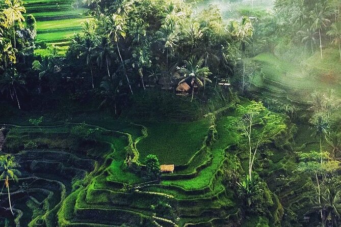Bali Sightseeing - Price and Value for a Private Group up to 4