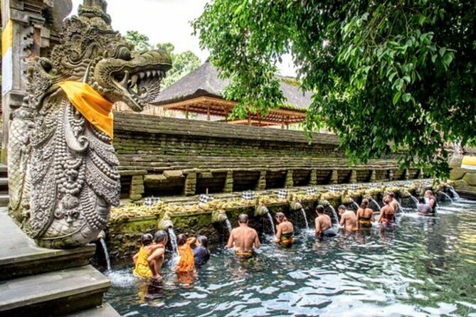 Bali Sightseeing Tour - Traditional village - Waterfall - Penglipuran Village Rules and the Bamboo Forest Reset