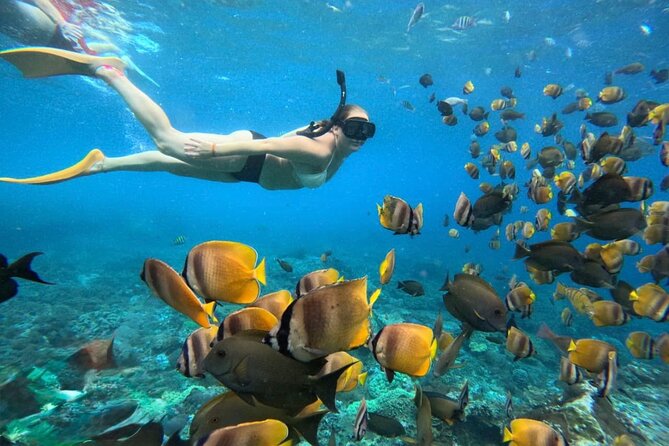 Bali Snorkeling 2 Spot at Blue Lagoon with Lunch & Transport - Key things I’d zero in on before you book