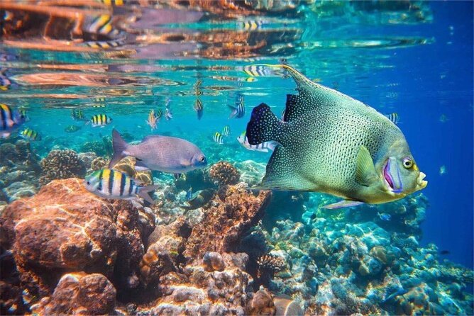 Bali Snorkeling 2 Spot at Blue Lagoon with Lunch & Transport - Beach time flow: Padang Bai staging, then Blue Lagoon focus