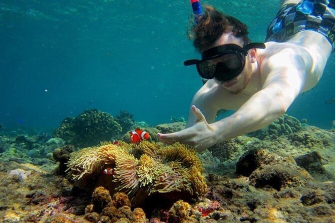 Bali Snorkeling 2 Spot at Blue Lagoon with Lunch & Transport - Who this tour is best for (and who might want something else)