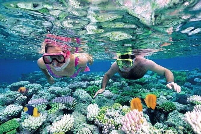 Bali Snorkeling at Blue Lagoon and Tanjung Jepun with Transfer - Quick hits before you go