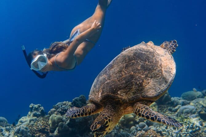 Bali Snorkeling at Blue Lagoon and Tanjung Jepun with Transfer - Guides, equipment, and the safety basics that matter