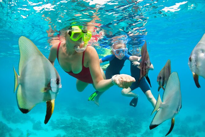 Bali Snorkeling Tour At Blue Lagoon with Gate of Heaven Temple - Gate of Heaven at Lempuyang Temple: Photos, Stairs, and Sacred Views