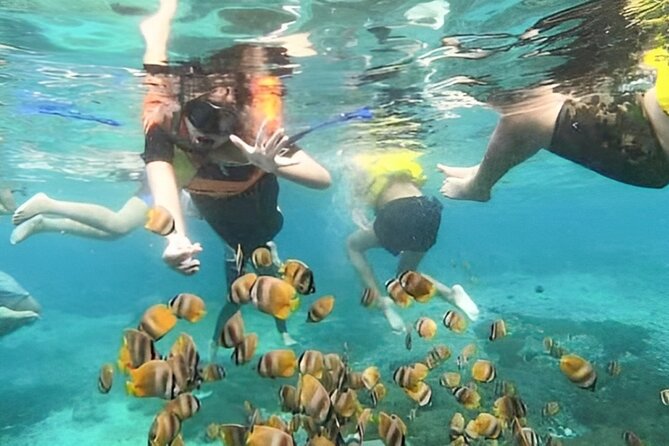 Bali Snorkeling Tour At Blue Lagoon with Gate of Heaven Temple - What to Bring and How to Prepare (Without Overthinking It)