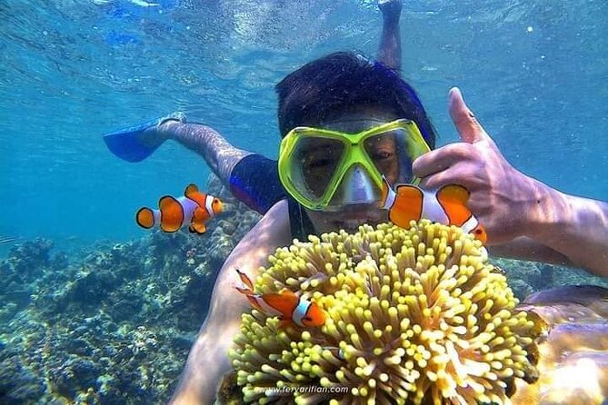 Bali : Snorkeling Trip - Blue Lagoon & Tanjung Jepun with Lunch - Key highlights you’ll care about