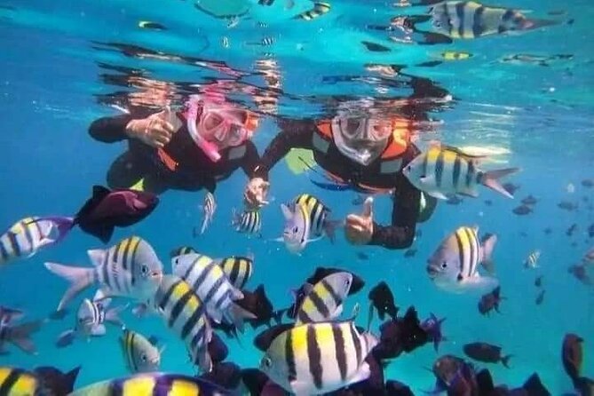 Bali : Snorkeling Trip - Blue Lagoon & Tanjung Jepun with Lunch - Boat time + professional snorkeling instructor: how safety and fun get handled