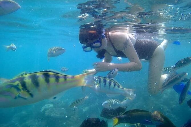 Bali : Snorkeling Trip - Blue Lagoon & Tanjung Jepun with Lunch - Guides matter: Tapas and Eka in the details