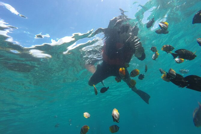 Bali : Snorkeling Trip - Blue Lagoon & Tanjung Jepun with Lunch - Boat time + professional snorkeling instructor: how safety and fun get handled