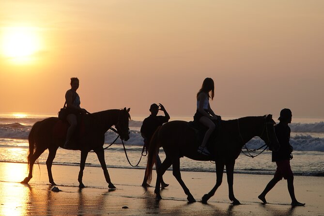 Bali Sunrise Horse Riding and Tour - Key Highlights You’ll Actually Feel