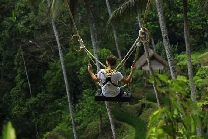 Bali Swing Heaven and White Water Rafting with All Inclusive - Price and Value: Why $46 Can Work for a Full Day