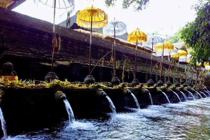Bali Swing Ubud Private Day Tour - Tegalalang Rice Terrace: the classic Ubud view, built into the day