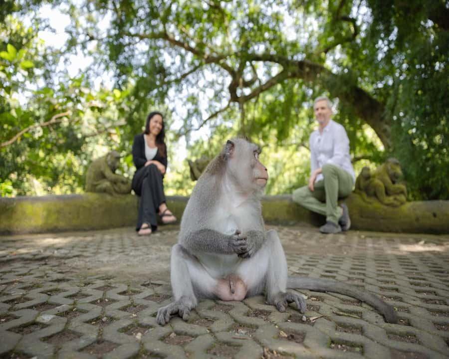 Bali: Temples, waterfall, and Rice Terrace Guided Tour - Santi Coffee Plantation (Luwak): A Break That’s Better When You Pace It