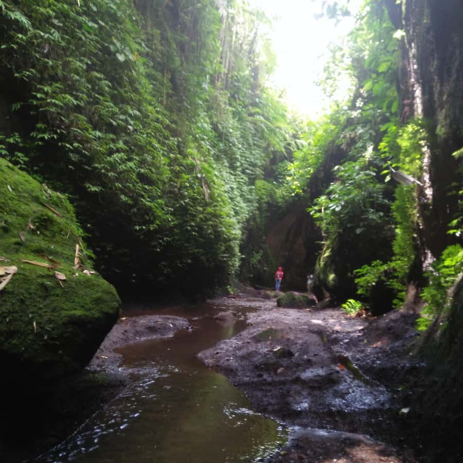 Bali: Tibumana, Tukad Cepung, Kanto Lampo, & Tegenungan Tour - East Bali Waterfalls: Why This Route Feels Like More Than a Checklist