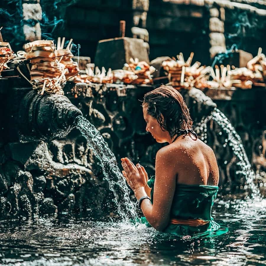 Bali: Tirta empul Temple, Rice terrace and Waterfall - Key highlights at a glance