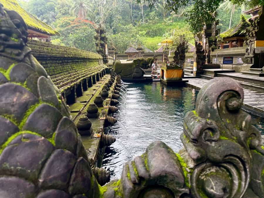 Bali: Tirta empul Temple, Rice terrace and Waterfall - Why This Ubud Private Tour Works (and for whom)