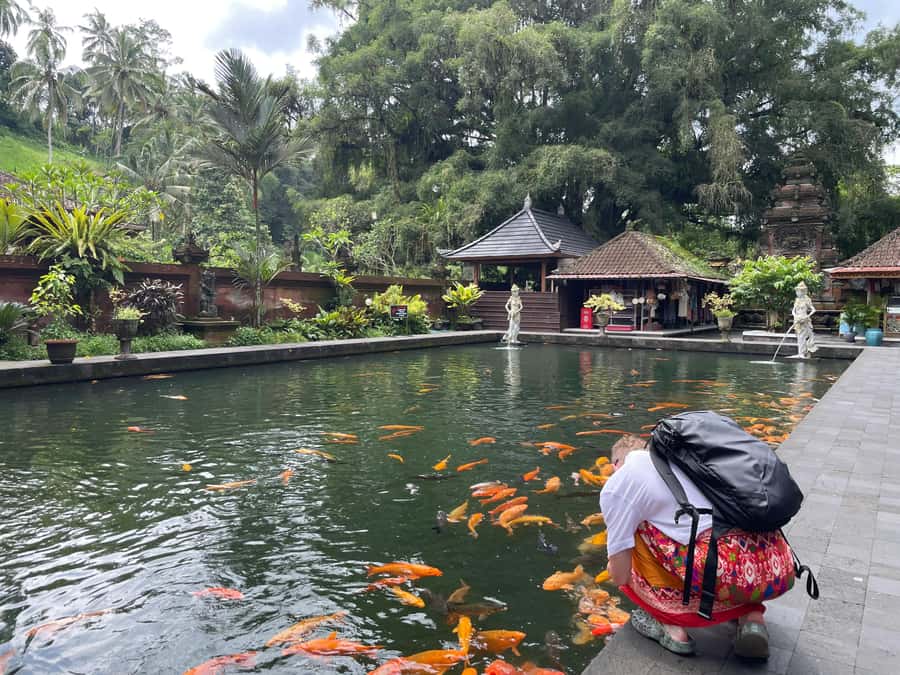 Bali: Tirta empul Temple, Rice terrace and Waterfall - Coffee plantation stop: Traditional coffee processing explained