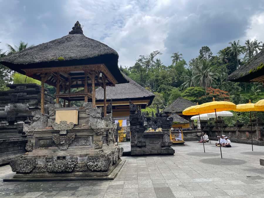 Bali: Tirta empul Temple, Rice terrace and Waterfall - Price and value: What $29 is really buying