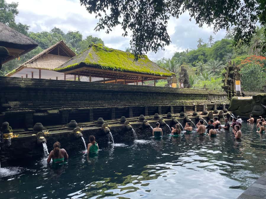 Bali: Tirta empul Temple, Rice terrace and Waterfall - Tegalalang Rice Terraces: Your first big photo payoff