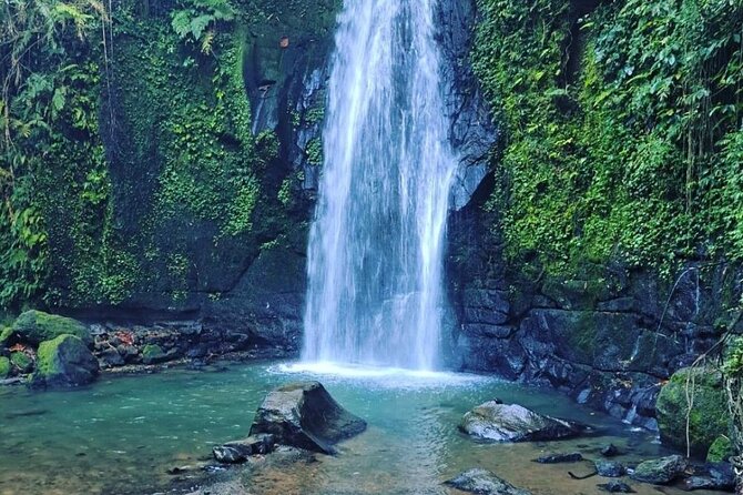 Bali Tirta Empul Tours Experience with Spiritual Cleansing - Timing: how to plan your day so you don’t feel rushed