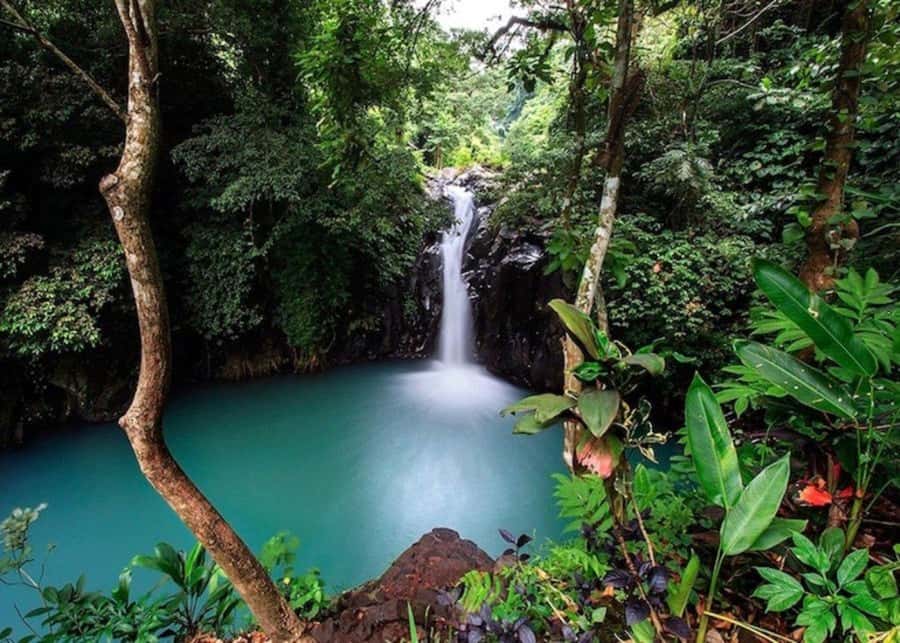 Bali: Top Highlights Private Full-Day Tour from Hotel - Key highlights worth your attention