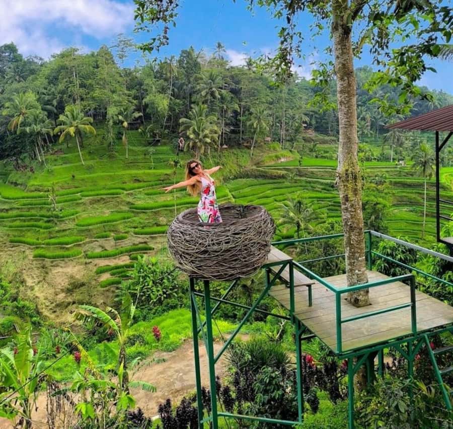 Bali: Top Highlights Private Full-Day Tour from Hotel - U Fun Field: where the day gets its fun block