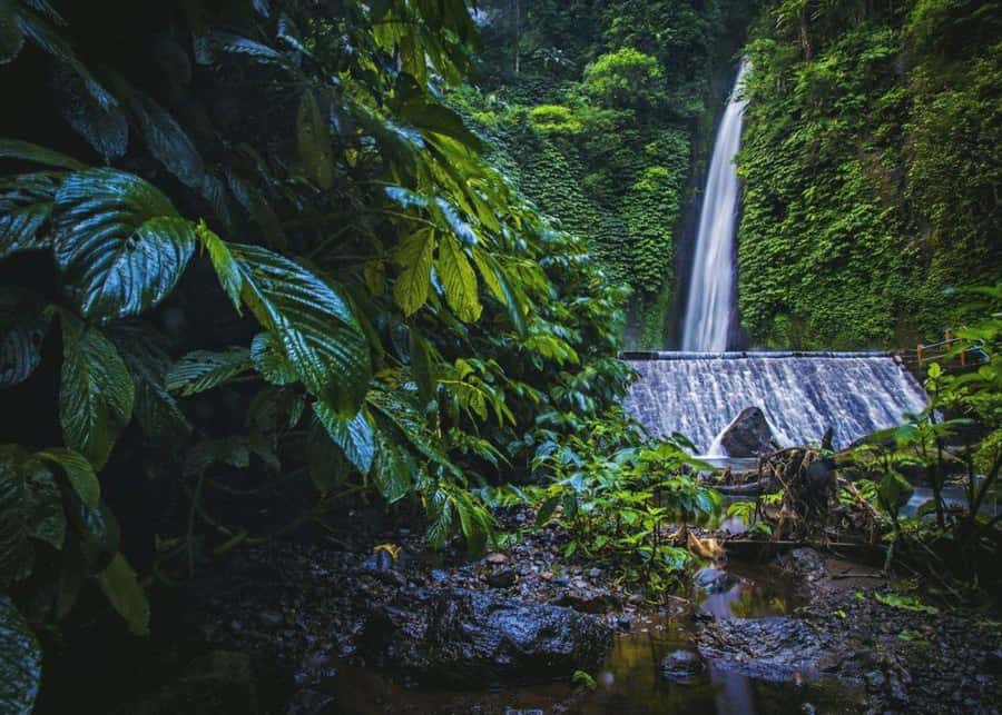 Bali: Top Highlights Private Full-Day Tour from Hotel - Tegalalang Rice Terraces: photos, guide time, and pacing