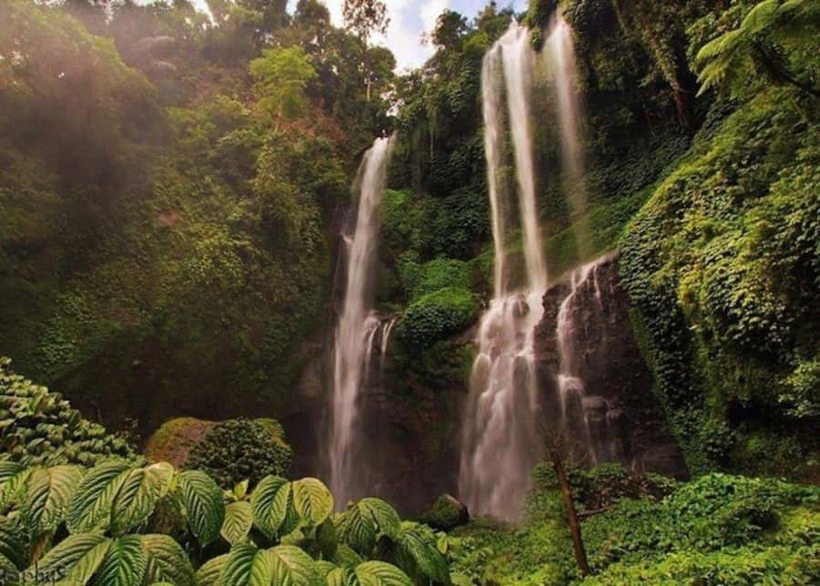 Bali: Top Highlights Private Full-Day Tour from Hotel - Ubud coffee stop: where breaks turn into flavor lessons