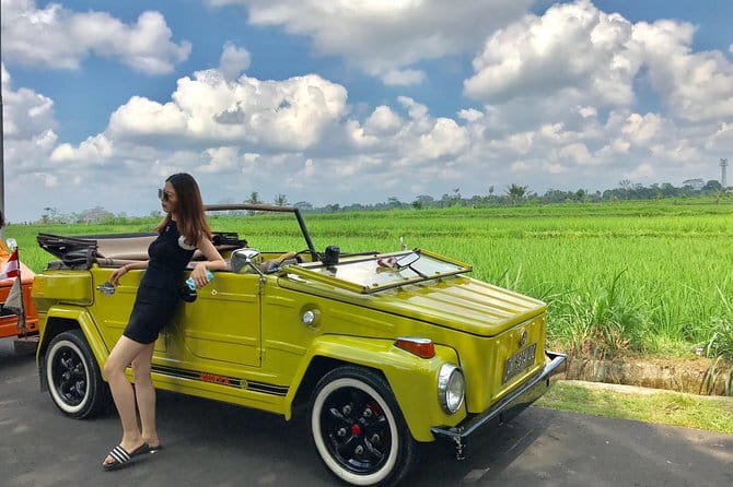 Bali Tour Driver - Price and logistics: what you’re really paying for