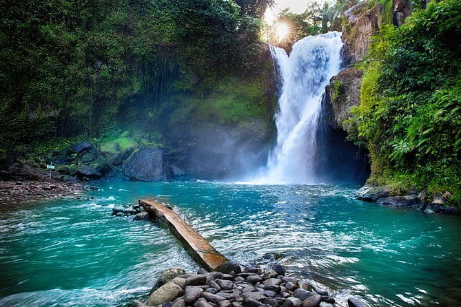 Bali Tour Driver - Should you book this Bali Driver Service?