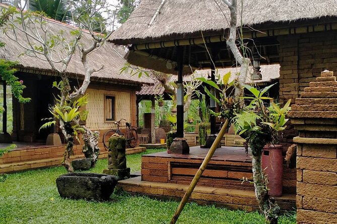 Bali Tour: Kintamani Tour with Lunch - Private air-conditioned transport: where value shows up