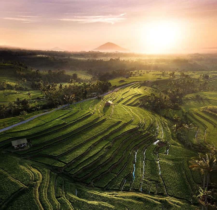 Bali: Trip to Tirta Gangga Palace and Tukad Cepung Waterfall - How a 9-hour private route actually works on Bali time