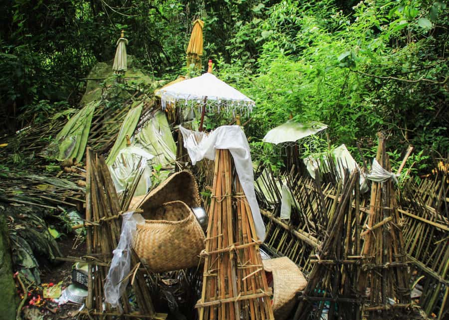 Bali: Trunyan Cemetery, Hot Springs, and Penglipuran Village - Why Trunyan and Lake Batur feel like a real Bali side trip
