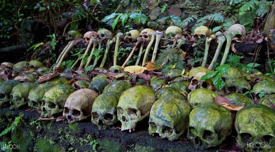 Bali: Trunyan Cemetery, Hot Springs, and Penglipuran Village - Batur Natural Hot Spring: the best place to exhale after Trunyan