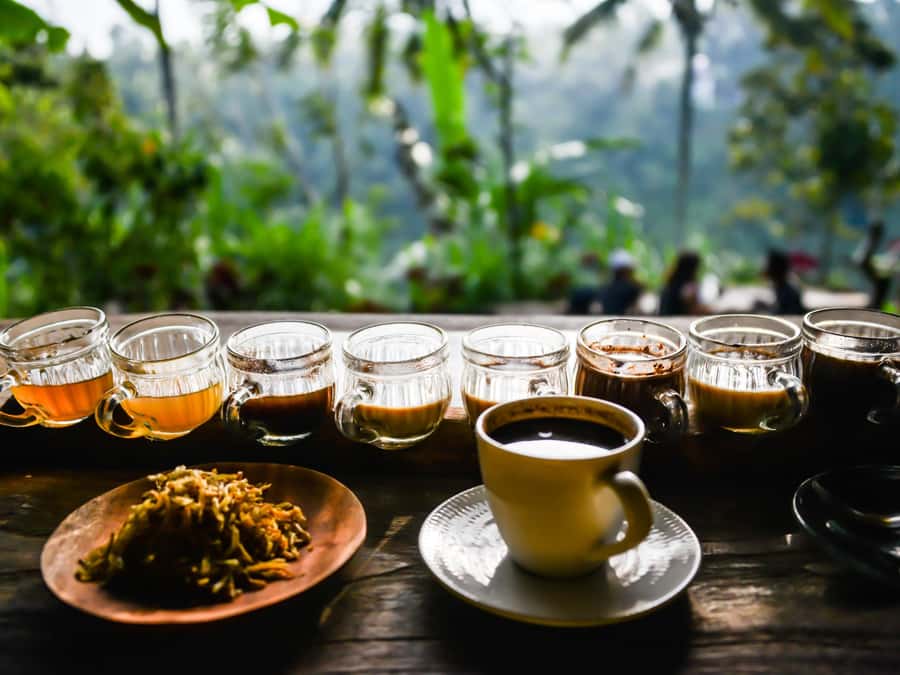 Bali: Ubud Adventure, ATV, Monkey Forest& Waterfall Tour - Tegenungan Waterfall Swim Time: What You Can Actually Do
