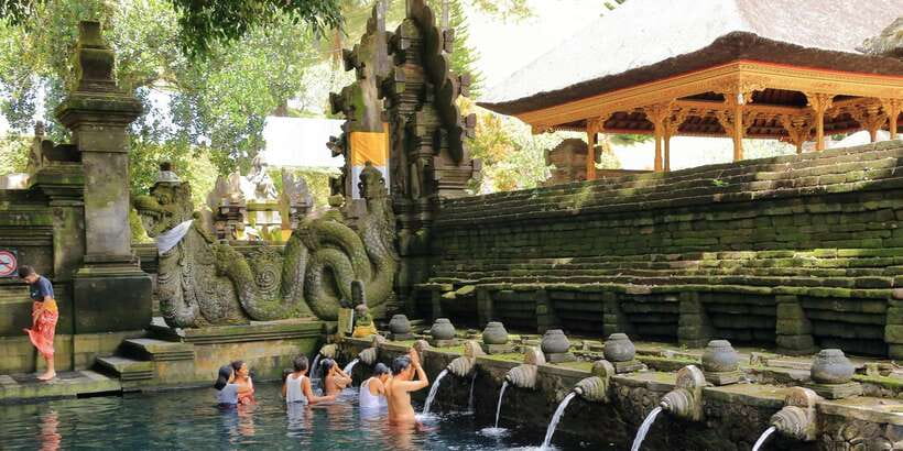 Bali: Ubud and Kintamani Viewpoint Opt. Swing & Buffet Lunch - Sacred Monkey Forest Sanctuary: Long-Tailed Monkeys Up Close