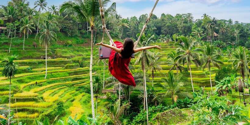 Bali: Ubud and Kintamani Viewpoint Opt. Swing & Buffet Lunch - Tegallalang Rice Terrace and Jungle Swing: Views You Earn