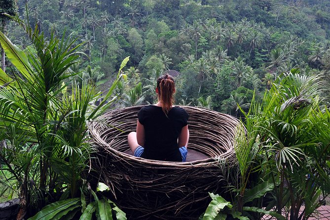 Bali Ubud and Volcano Day Tours - Mount Batur Crater Lake Lunch: The Best Reason to Stay for the Day