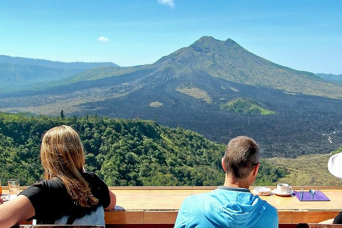 Bali Ubud and Volcano Day Tours - Satria Agrowisata Coffee Plantation: What You’ll Actually Learn and Taste