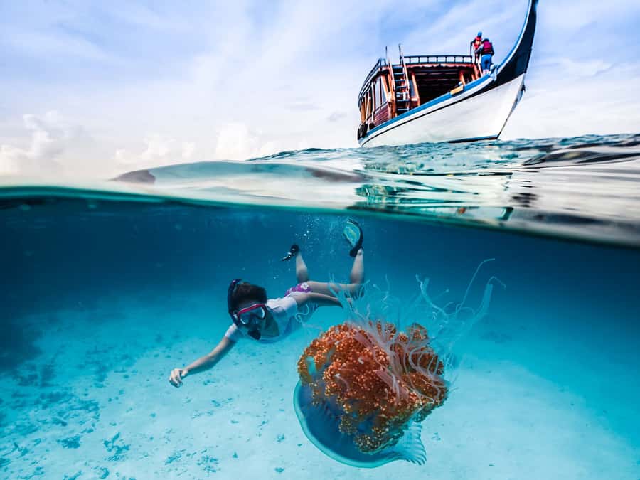 Bali: Ubud ATV and Blue Lagoon Snorkeling Tour with Lunch - From hotel pickup to Silakarang ATV: the ride that sets the tone