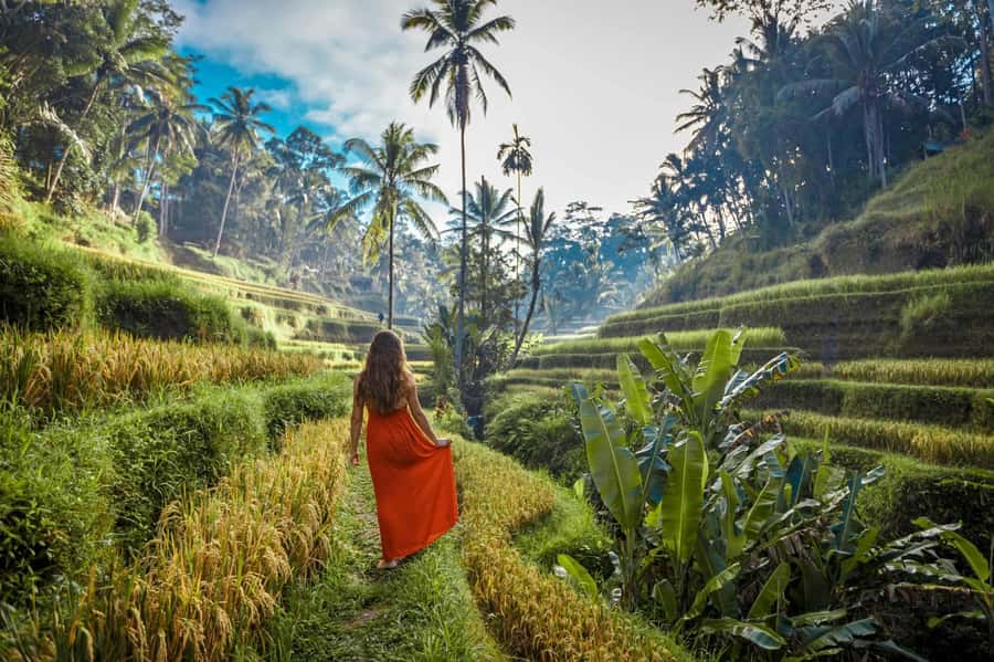 Bali: Ubud ATV Quad Bike, Jungle Swing & Rice Terrace Tour - The jungle swing: gear, safety, and getting the shot