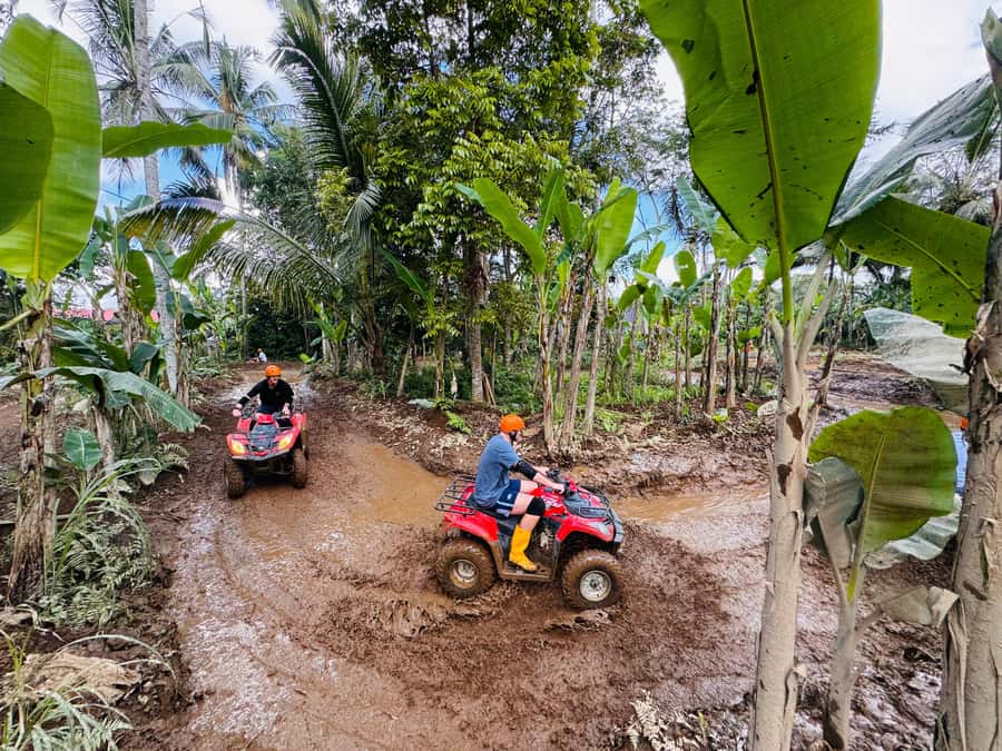 Bali: Ubud ATV Quad Bike, Jungle Swing & Rice Terrace Tour - Tegalalang rice terraces: slow down and enjoy the subak system