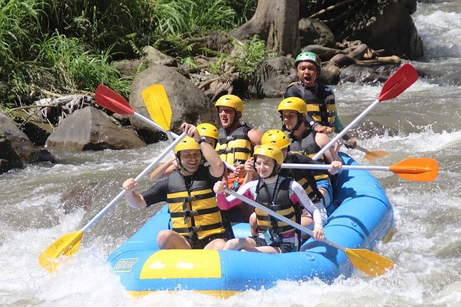 Bali Ubud Ayung River Rafting with Lunch - Key highlights you’ll notice right away