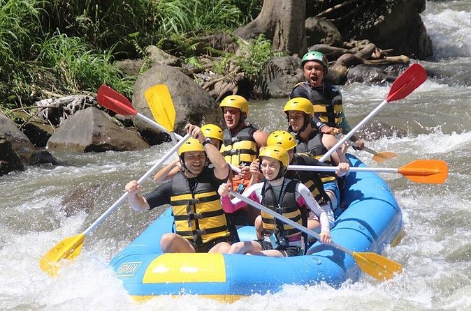 Bali Ubud Ayung River Rafting with Lunch - Price check: $32.75 and the value math